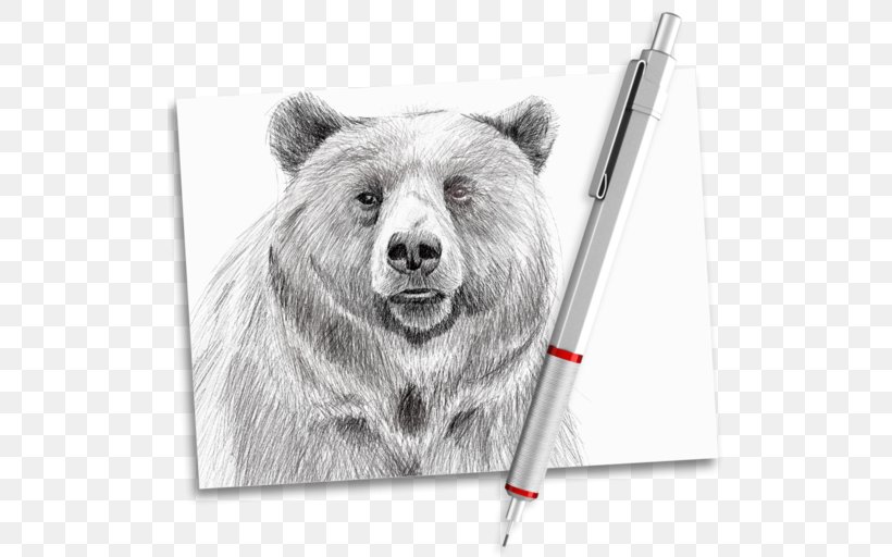 Drawing Computer Software Mobile App MacOS Apple, PNG, 512x512px, Drawing, Apple, Apple Ipad Family, Bear, Black And White Download Free