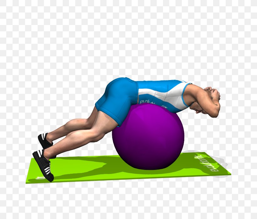 Exercise Balls Esercizi Multiarticolari Pilates Latissimus Dorsi Muscle Sport, PNG, 700x700px, Watercolor, Cartoon, Flower, Frame, Heart Download Free