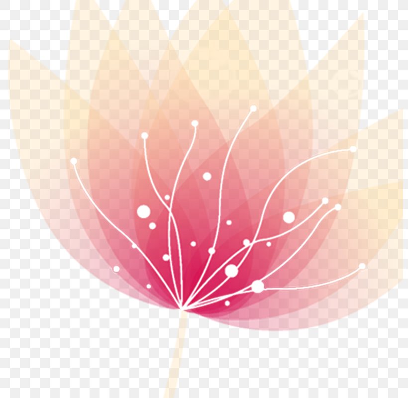 Flower Desktop Wallpaper Download, PNG, 800x800px, Flower, Computer, Leaf, Peach, Petal Download Free