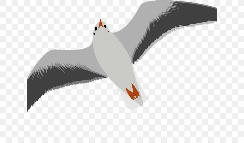 Gulls Clip Art Image Line Art European Herring Gull, PNG, 640x480px, Gulls, Beak, Bird, Cartoon, Charadriiformes Download Free