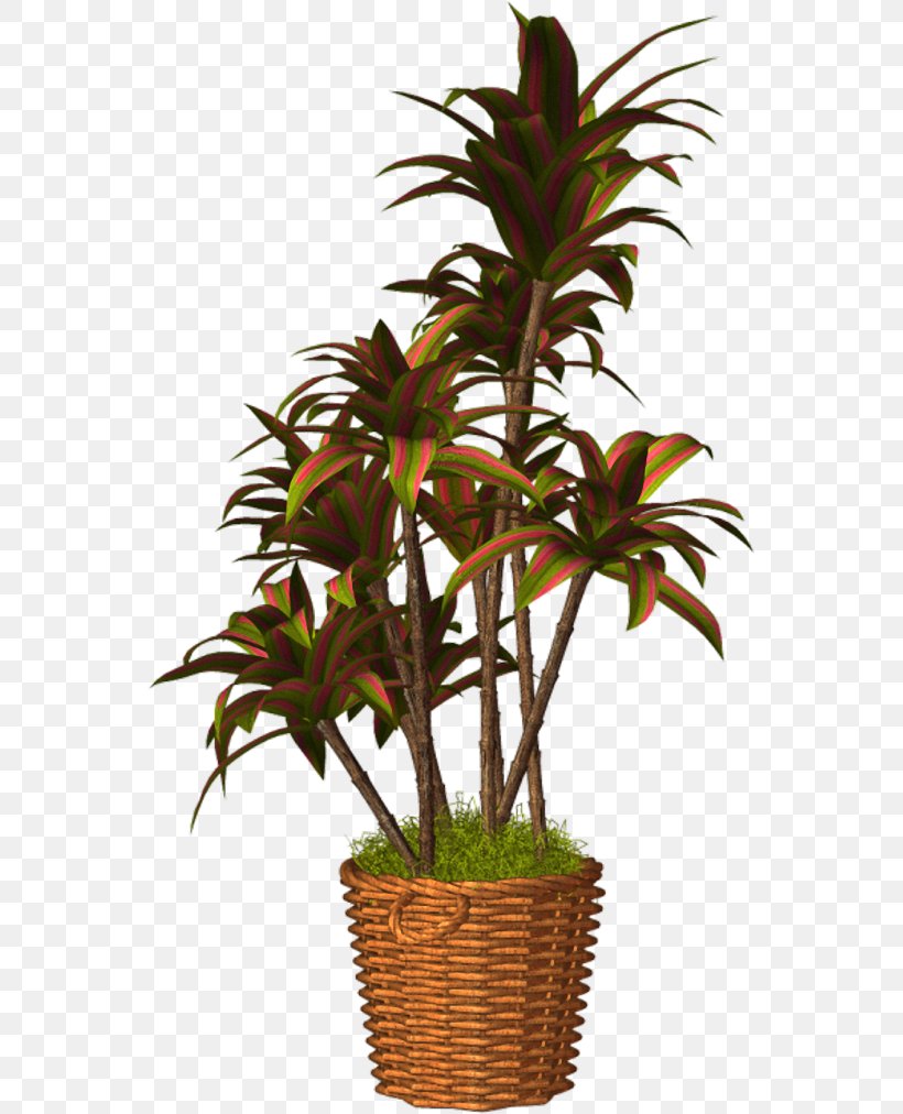 Flowerpot Arecaceae Houseplant Clip Art, PNG, 551x1012px, Flowerpot, Arecaceae, Arecales, Blog, Email Download Free