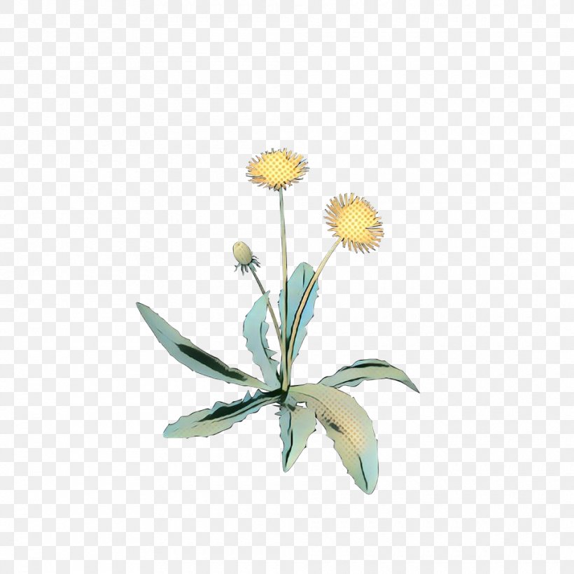 Flowers Background, PNG, 960x960px, Pop Art, Camomile, Chamomile, Cut Flowers, Dandelion Download Free