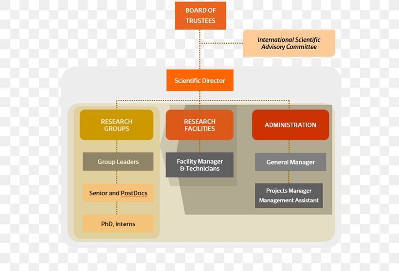 Organization Achucarro Basque Center For Neuroscience Foundation Non-profit Organisation, PNG, 630x557px, Organization, Basques, Brand, Chart, Diagram Download Free