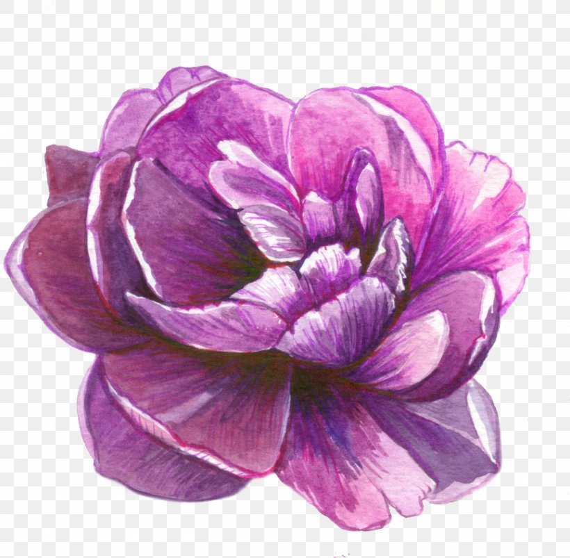 purple watercolor flowers