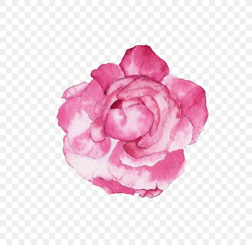 Watercolour Flowers Watercolor Painting Illustration, PNG, 800x800px, Watercolour Flowers, Art, Camellia, Color, Cut Flowers Download Free