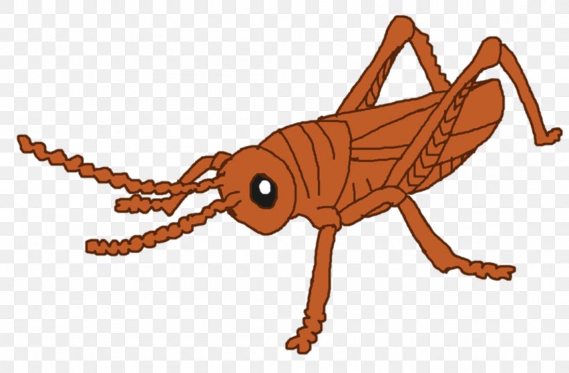 Insect Pest Cricket Animal Clip Art, PNG, 1103x724px, Insect, Animal, Animal Figure, Arthropod, Cricket Download Free