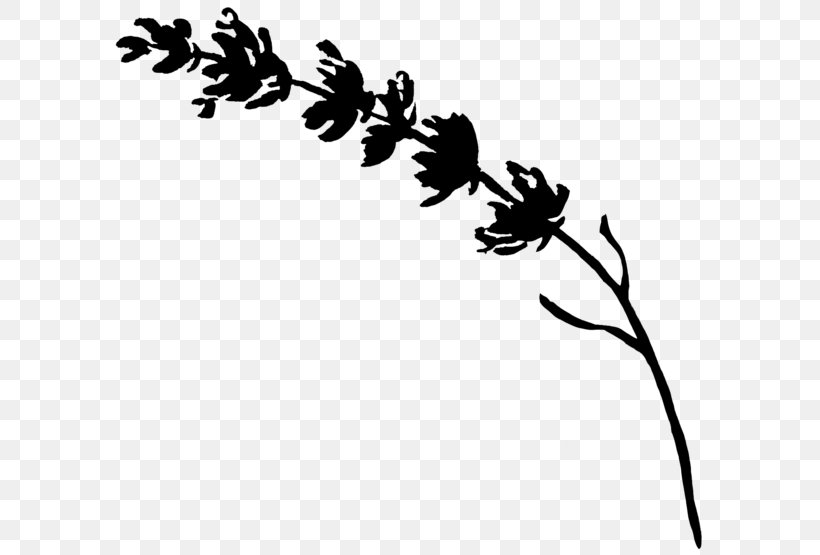 Leaf Clip Art Line Plant Stem Flowering Plant, PNG, 600x555px, Leaf, Black M, Blackandwhite, Botany, Branch Download Free