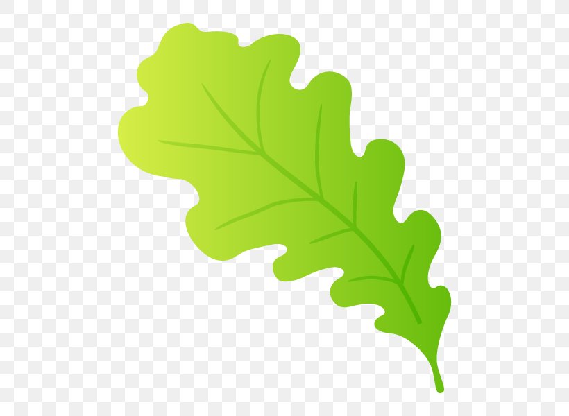 Leaf Plant Stem Tree, PNG, 600x600px, Leaf, Green, Plant, Plant Stem, Tree Download Free