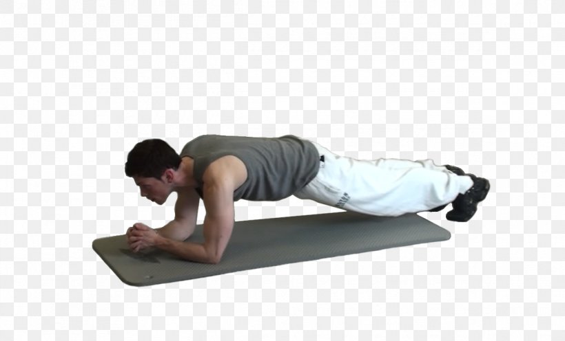 Shoulder Physical Fitness Plank Hip, PNG, 1195x723px, Shoulder, Abdomen, Arm, Balance, Exercise Download Free