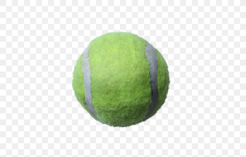 Download Sport Tennis Ball, PNG, 570x526px, Sport, Ball, Copyright, Grass, Green Download Free