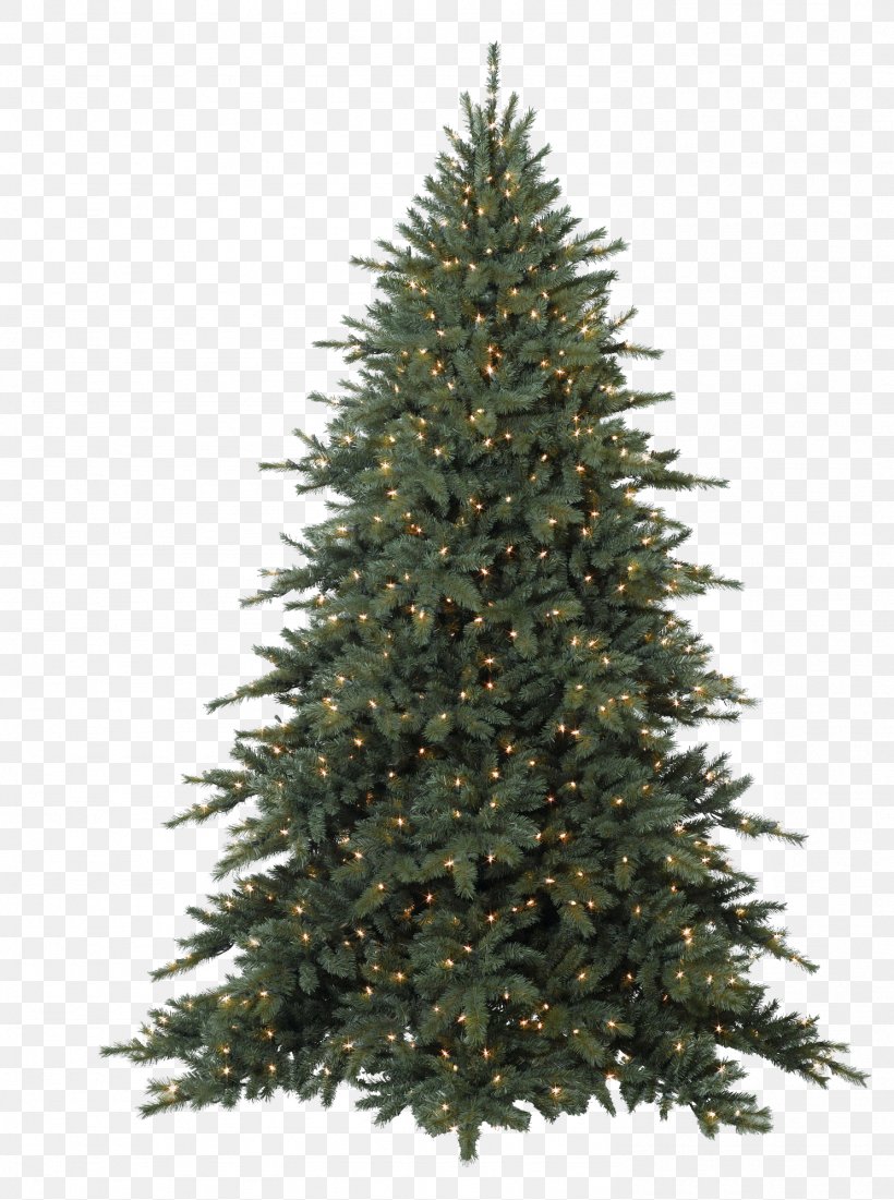 Fraser Fir Balsam Fir Artificial Christmas Tree, PNG, 1487x1998px, Fraser Fir, Artificial Christmas Tree, Balsam Fir, Balsam Hill, Christmas Download Free