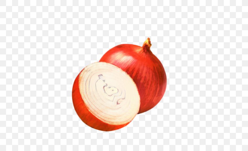 Red Onion Yellow Onion Vegetable Hair Care Botak, PNG, 500x500px, Red Onion, Allium, Amaryllis Family, Botak, Businessperson Download Free