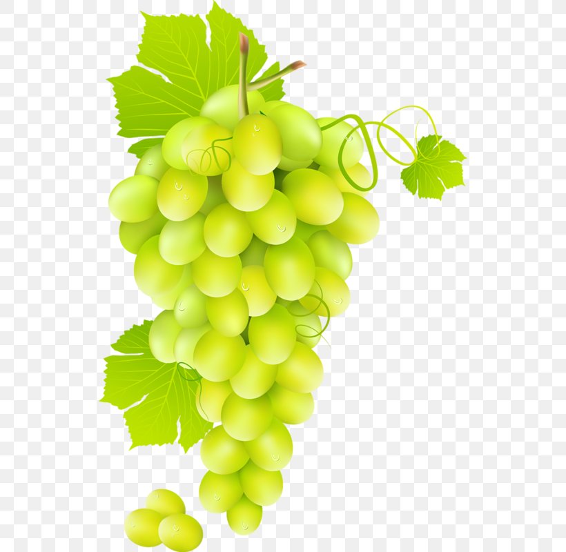 Wine Juice Common Grape Vine, PNG, 534x800px, Wine, Common Grape Vine, Flowering Plant, Food, Fruit Download Free