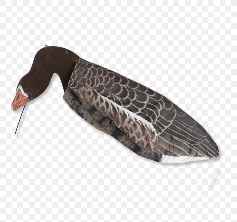 Duck Greylag Goose Mallard Hunting, PNG, 768x768px, Duck, Beak, Bird, Canada Goose, Decoy Download Free