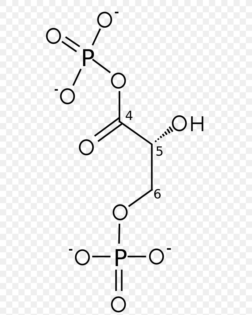 Glyceraldehyde 3-phosphate 3-Phosphoglyceric Acid Glycolysis Dihydroxyacetone Phosphate, PNG, 574x1024px, 3phosphoglyceric Acid, Glyceraldehyde 3phosphate, Area, Auto Part, Biochemistry Download Free