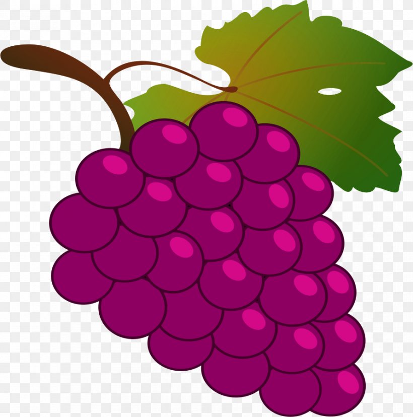Grapevines Purple Clip Art, PNG, 891x900px, Grape, Color, Document, Flowering Plant, Food Download Free
