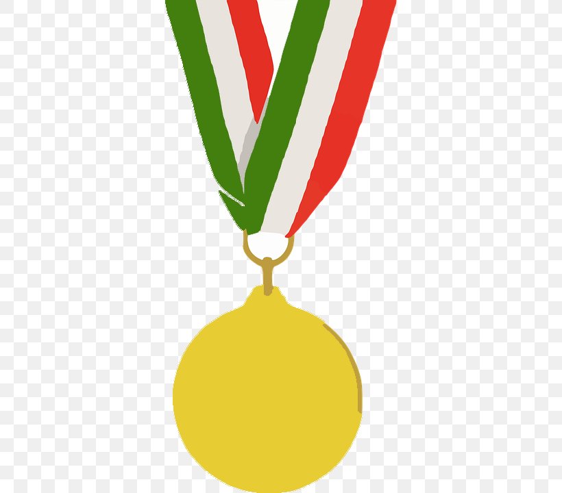 Silver Medal Gold Medal Olympic Games Bronze Medal, PNG, 360x720px, Medal, Arts, Award, Bronze Medal, Can Stock Photo Download Free