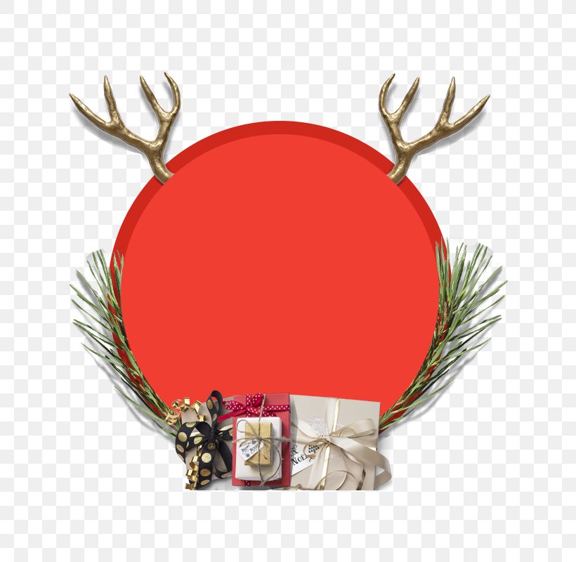 Antler Gift Deer Christmas Day Horn, PNG, 800x800px, Antler, Christmas Day, Christmas Decoration, Christmas Ornament, Conifer Download Free