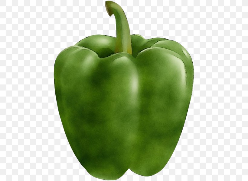 Bell Pepper Pimiento Green Bell Pepper Green Capsicum, PNG, 471x600px, Watercolor, Bell Pepper, Bell Peppers And Chili Peppers, Capsicum, Food Download Free