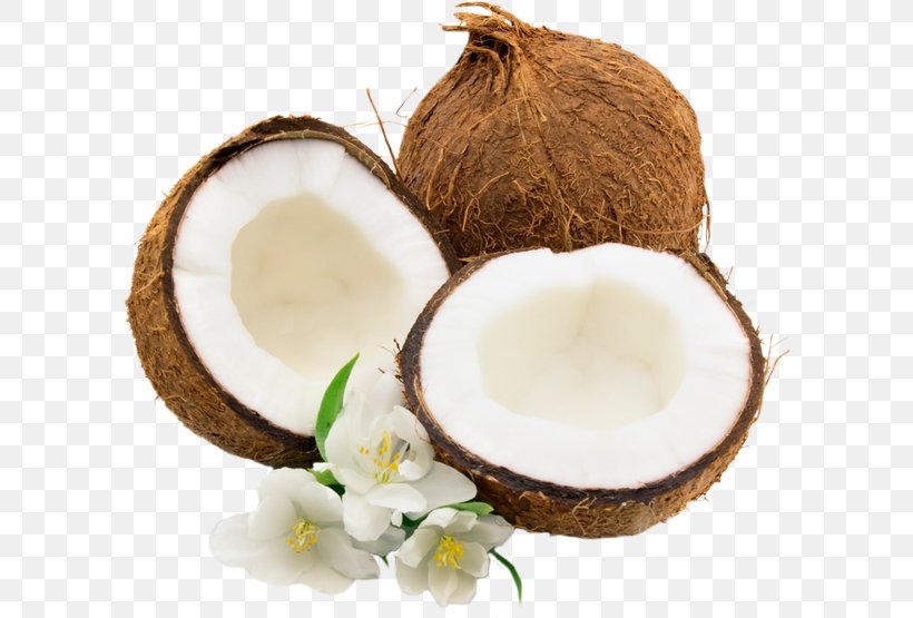 Coconut Water Juice Milk, PNG, 600x555px, Coconut Water, Coco, Coconut, Coconut Cream, Coconut Oil Download Free