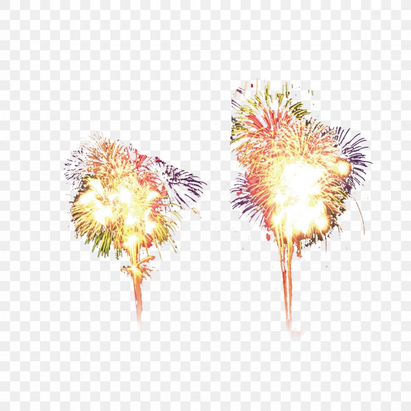 Fireworks Chinoiserie Google Images, PNG, 2362x2362px, Fireworks, Chinoiserie, Computer, Flower, Google Images Download Free