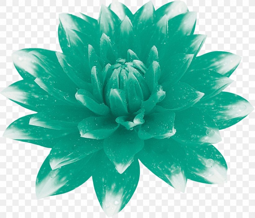 Flower Floral Design Petal Turquoise Art, PNG, 1285x1096px, Flower, Art, Email, Floral Design, Green Download Free