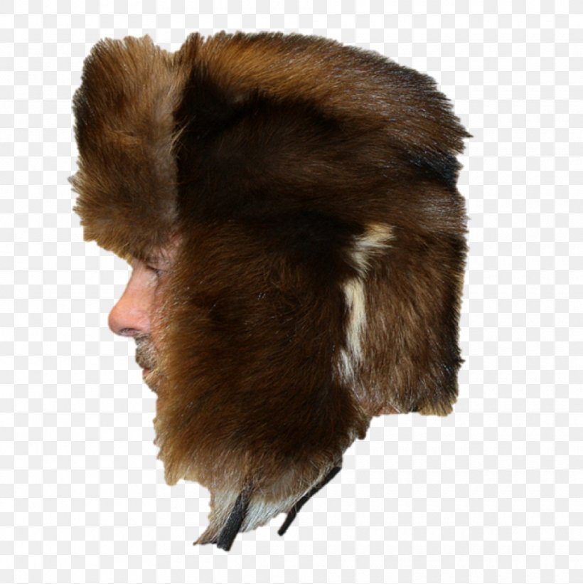 Fur Hat Cap Bearskin, PNG, 960x962px, Fur, Bear, Bearskin, Cap, Clothing Download Free