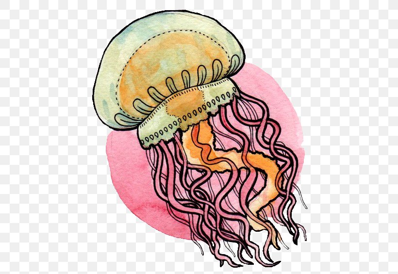 Jellyfish Chrysaora Animal Transparency And Translucency, PNG, 500x565px, Watercolor, Cartoon, Flower, Frame, Heart Download Free