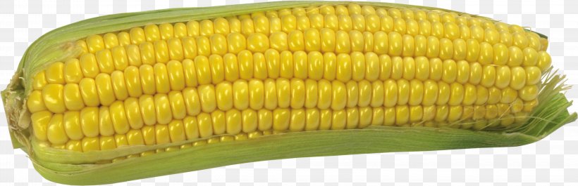 Maize Download Clip Art, PNG, 3200x1036px, Maize, Archive File, Commodity, Corn Kernels, Corn On The Cob Download Free