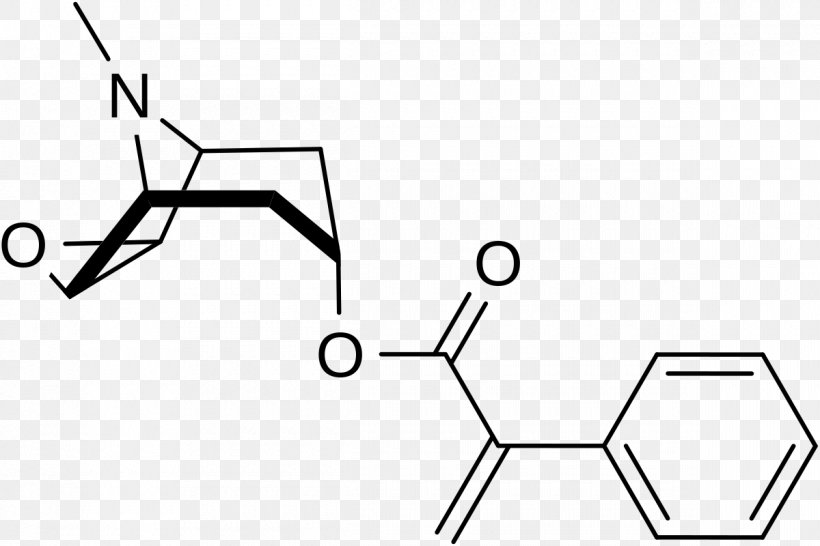 Carboxylic Acid Phenyl Group Benzoic Acid Chemical Compound, PNG, 1200x800px, Acid, Amide, Amino Acid, Area, Benzoic Acid Download Free