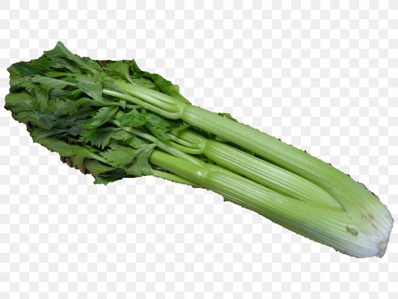 Fishmongers STELOY Celery Leaf Vegetable Food, PNG, 1024x768px, Fishmongers Steloy, Broccoli, Celery, Chinese Broccoli, Choy Sum Download Free