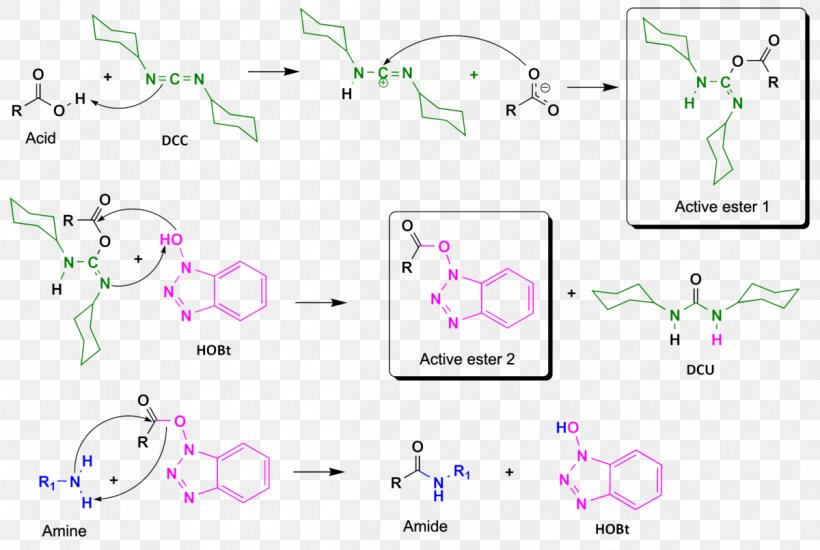 Hydroxybenzotriazole Amide Peptide Synthesis Chemical Synthesis Carbodiimide, PNG, 1200x806px, Watercolor, Cartoon, Flower, Frame, Heart Download Free