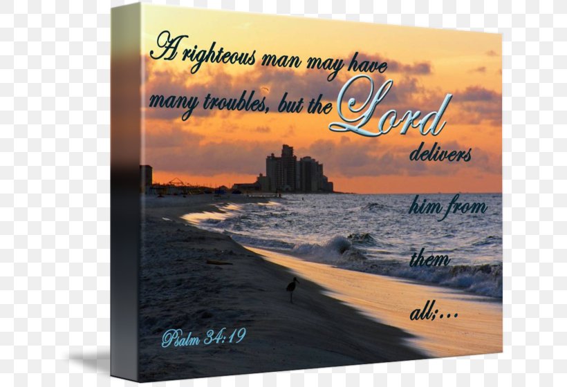 Religious Text Bible Art Image, PNG, 650x560px, Religious Text, Advertising, Art, Beach, Bible Download Free