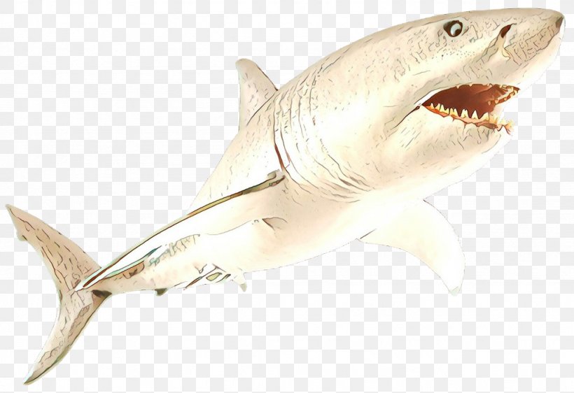 Shark, PNG, 1024x703px, Cartoon, Cartilaginous Fish, Fin, Fish, Great White Shark Download Free
