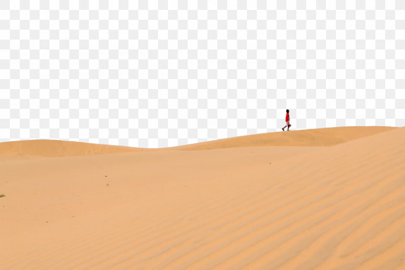 Dune Singing Sand Meter Ecoregion Sand, PNG, 1200x800px, Dune, Ecoregion, Erg, Meter, Sahara India Pariwar Download Free