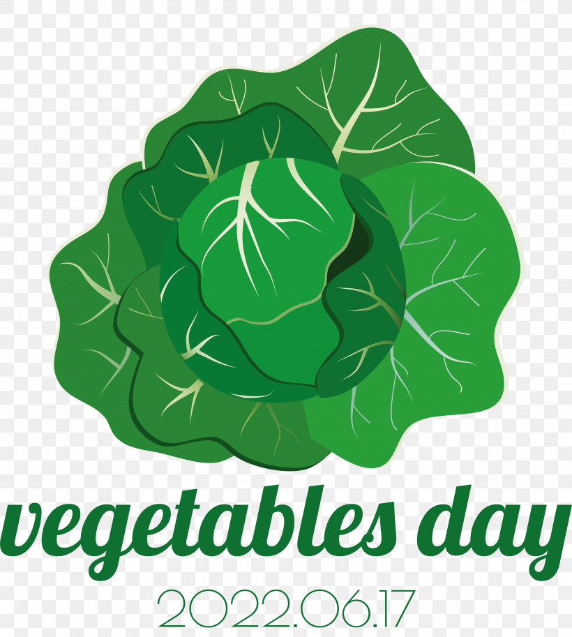 Leaf Leaf Vegetable Vegetable Logo Font, PNG, 4856x5410px, Leaf, Biology, Flower, Green, Leaf Vegetable Download Free