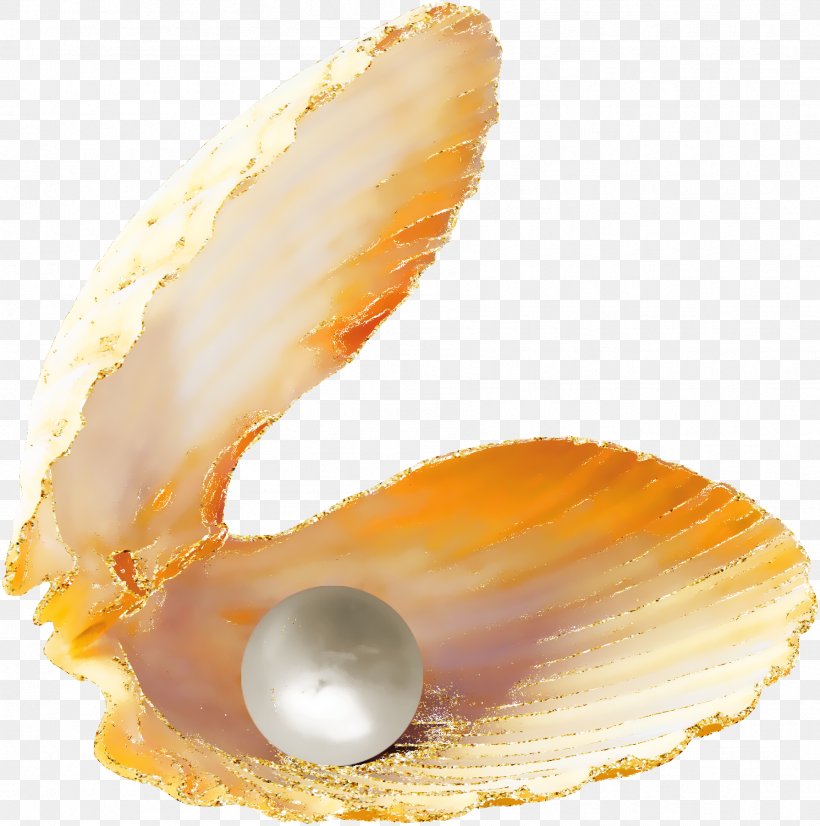 Oyster Pearl Seashell Slanted, PNG, 1789x1803px, Oyster, Clam, Clams Oysters Mussels And Scallops, Cockle, Conchology Download Free