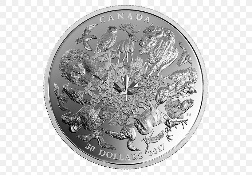 Silver Coin Bullion Coin, PNG, 570x570px, Silver, Banknote, Black And White, Bullion, Bullion Coin Download Free
