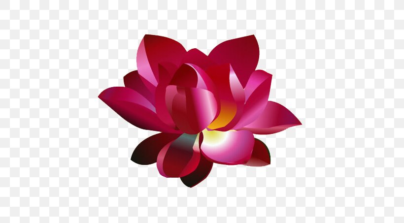 Adobe Animate Nelumbo Nucifera Animation Icon, PNG, 650x453px, Adobe Animate, Adobe Flash Player, Animation, Cut Flowers, Flower Download Free