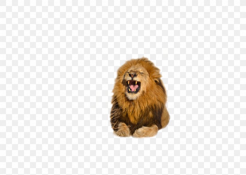 Lion Roar Clip Art, PNG, 1024x729px, Lion, Animal, Animal Figure, Big Cats, Carnivora Download Free