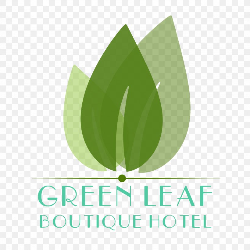 Logo Brand Product Design Font, PNG, 2571x2570px, Logo, Brand, Computer, Green, Leaf Download Free