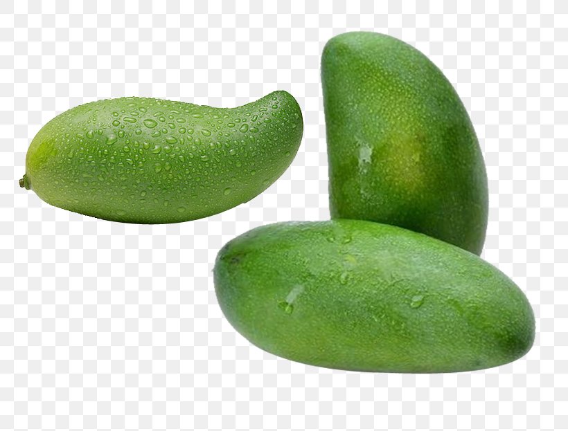 Mango Auglis Fruit Wax Gourd, PNG, 790x623px, Mango, Auglis, Avocado, Cucumber Gourd And Melon Family, Designer Download Free