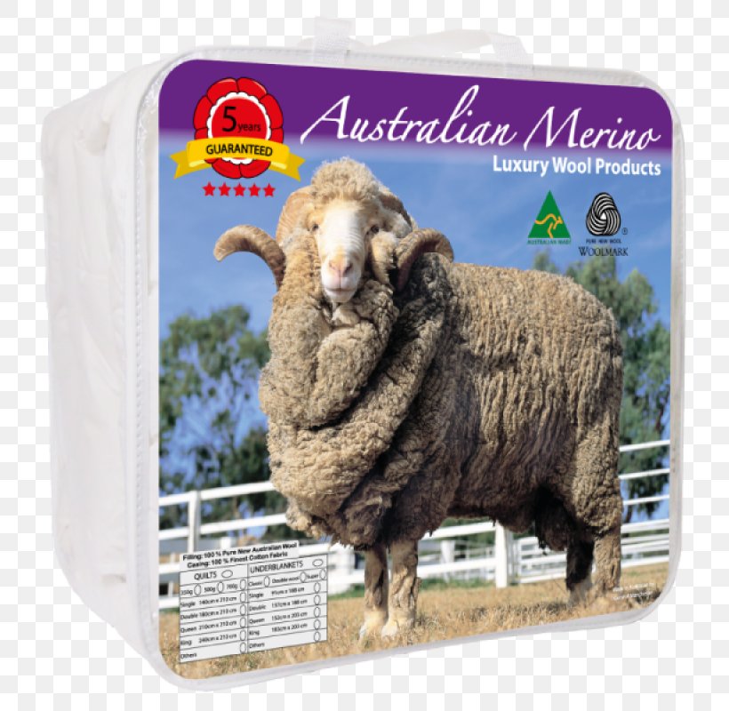 Poll Merino Charollais Sheep Black Welsh Mountain Sheep Dorper, PNG, 800x800px, Merino, Australia, Bluefaced Leicester, Charollais Sheep, Cow Goat Family Download Free