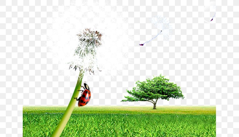 Xianning Resource, PNG, 663x471px, Xianning, Business, Dandelion, Energy, Field Download Free