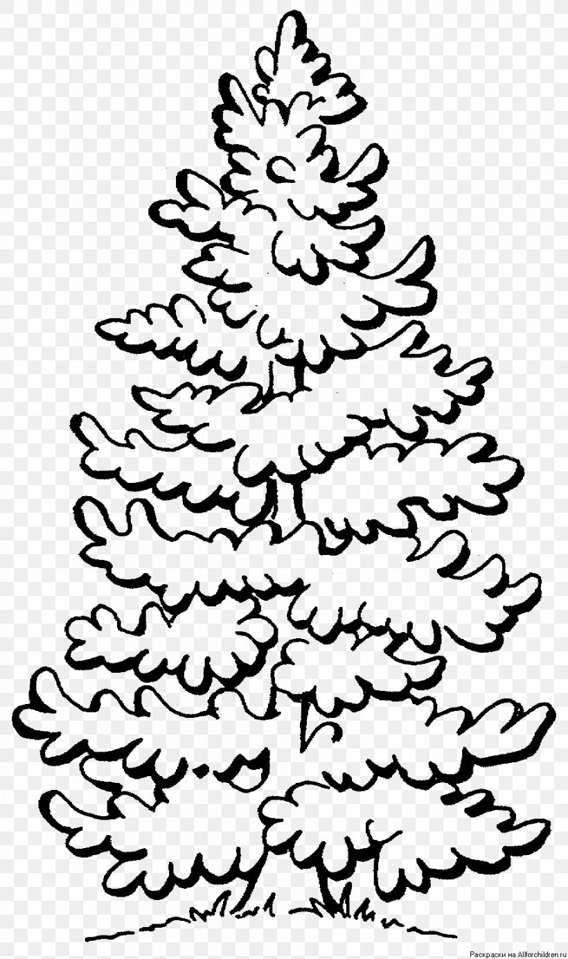 Coloring Book Tree Fir Clip Art, PNG, 907x1531px, Coloring Book, Area, Art, Black And White, Branch Download Free