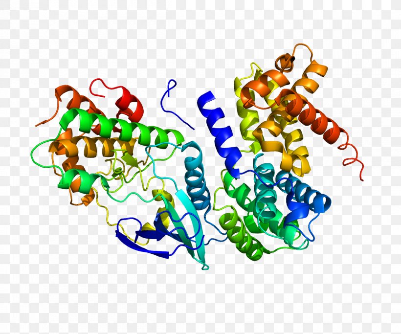 Cyclin D1 Cyclin-dependent Kinase Cell Cycle, PNG, 1200x1000px, Cyclin, Area, Biology, Cell, Cell Cycle Download Free