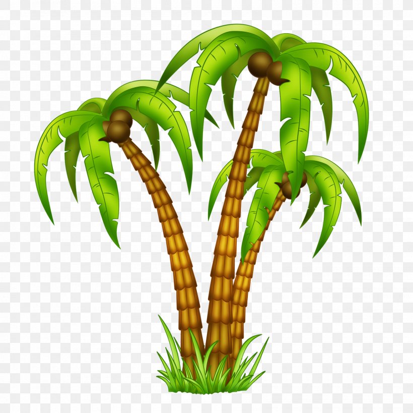 Drawing Tropics Arecaceae, PNG, 1600x1600px, Drawing, Animation, Aquarium Decor, Arecaceae, Cumbia Download Free