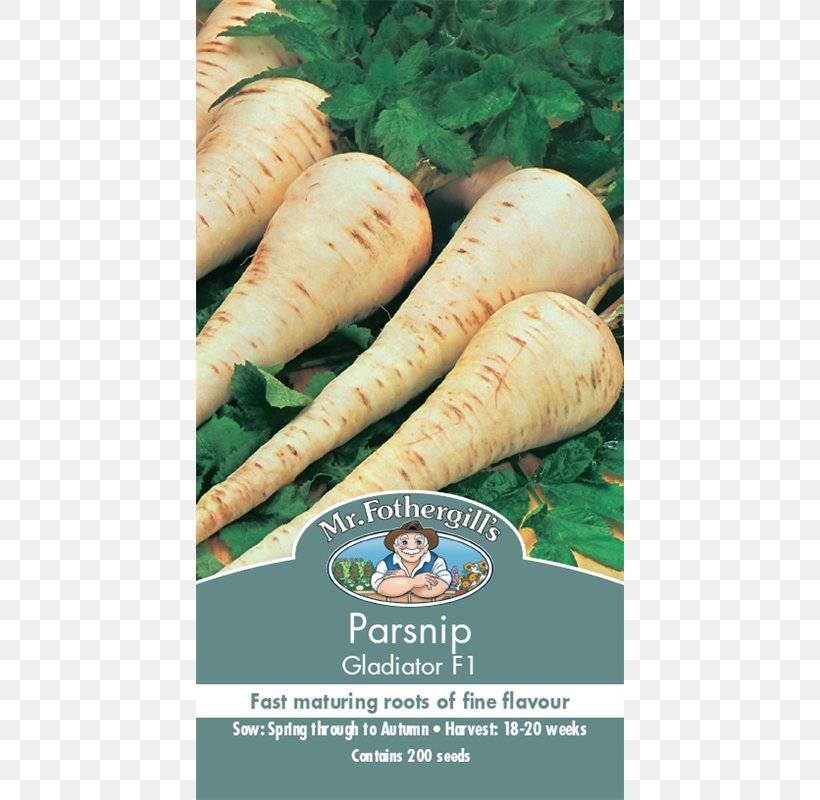 Parsnip Carrot Pomodoro Costoluto Fiorentino Root Seed, PNG, 800x800px, Parsnip, African Daisies, Auglis, Carrot, Daucus Carota Download Free