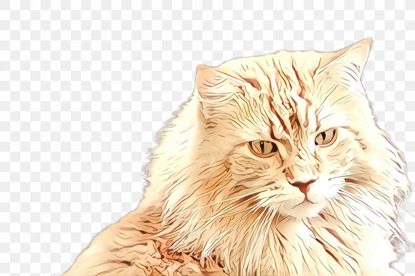 Cat Small To Medium-sized Cats Whiskers Fur European Shorthair, PNG, 2000x1332px, Cartoon, Cat, Domestic Longhaired Cat, European Shorthair, Fur Download Free