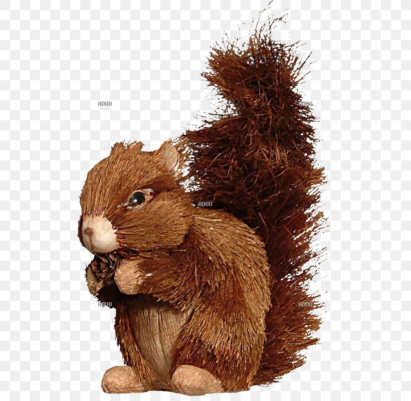 Red Squirrel Rodent Tree Squirrel Animal, PNG, 800x800px, Squirrel, Animal, Autumn Leaf Color, Bird, Color Download Free